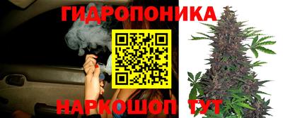 амф Краснокаменск