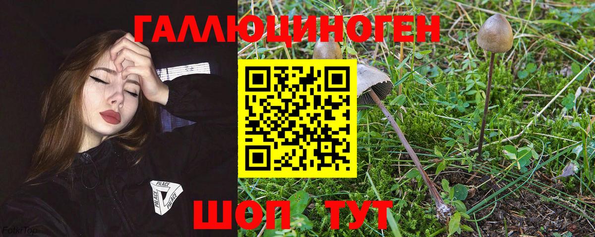 Еманжелинск  Псилоцибиновые грибы MAGIC MUSHROOMS  Вход с VPN 